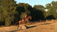 Ecurie Wa/poney Club de Vinauger