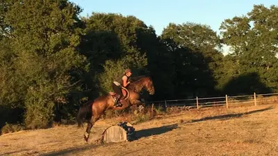Ecurie Wa/poney Club de Vinauger