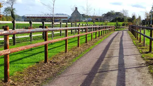 Haras des Tringalles