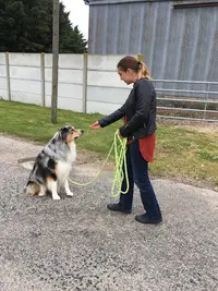 Correct Eure Canin