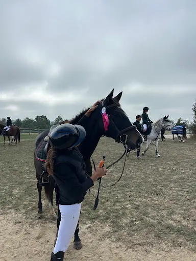 Ecuries des Roseaux