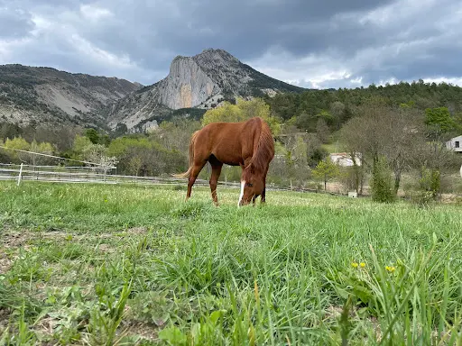 Elevage du Teillon / la Chevauchée du Verdon