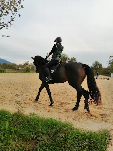 Haras des Lones