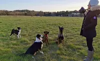 Mh Education Canine - Éducateur Comportementaliste Canin À Toulon, Var et Alentours