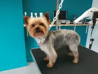 Ici Ça Baigne