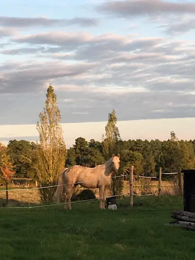 Haras de Cressac