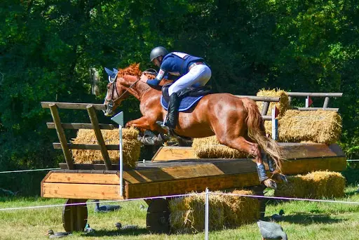 Ferme Equestre du Derre