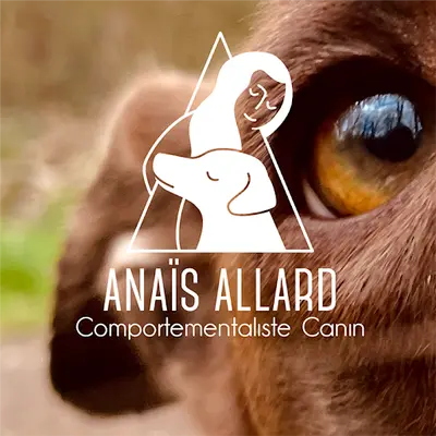 Anaïs Allard - Comportement Canin
