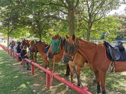 Ass. l'Écurie du Bonheur - Ferme de Ger-val