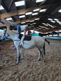 Montgardon Equitation