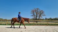 Les Chevaux de la Risle