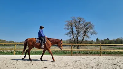 Les Chevaux de la Risle