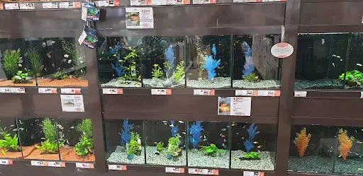 Jardiland
