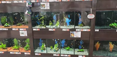 Jardiland