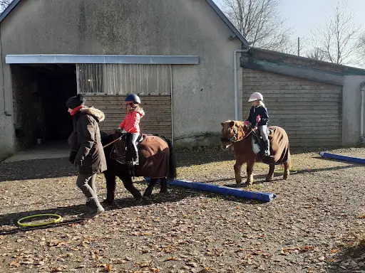 Le Cheval Un Guide Vers l'Équilibre et la Liberté