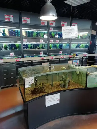 Jardiland