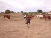 Écurie Poney Club de l'Antonnière