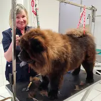 Animal Passion