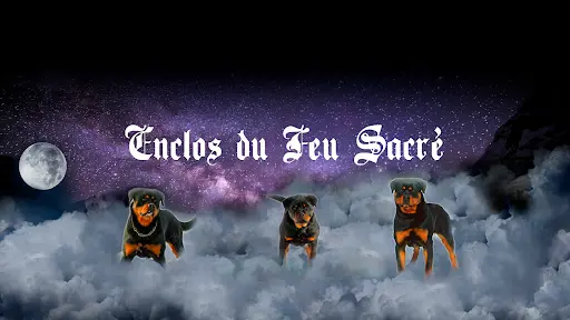 Elevage de Rottweiler, Enclos du Feu Sacré
