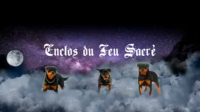 Elevage de Rottweiler, Enclos du Feu Sacré