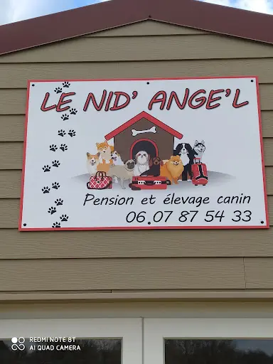 Pension Canine le Nid Ange l'