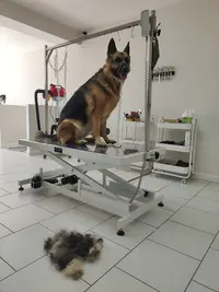 Toilettage du Der