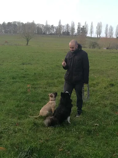 Can Idéal - Éducateur Canin et Comportementaliste (37)