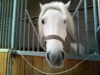 Centre Equestre de la Rivière-de-corps