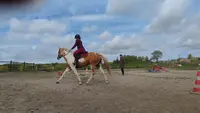 Le Manège de Regalis