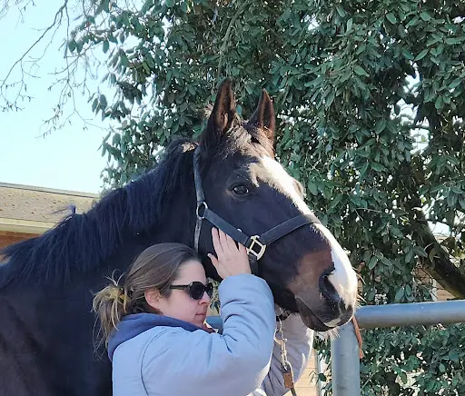 River Ranch Pension Equestre, Masseur Equin, Formations, Médiation Animale
