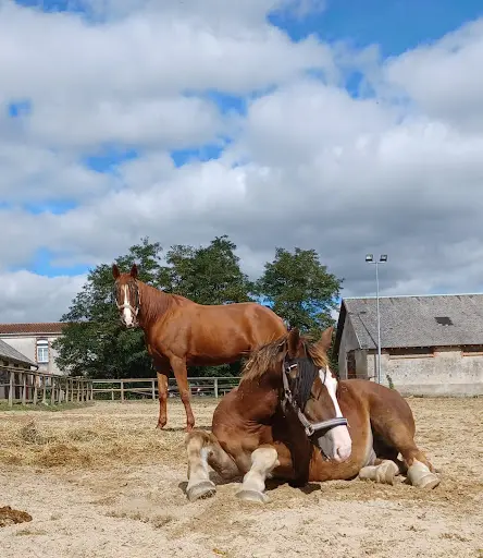 À l'Equi-libre