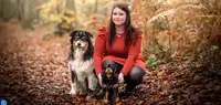 De la Laisse au Lien - Éducatrice Comportementaliste Canin - la Roche sur Yon