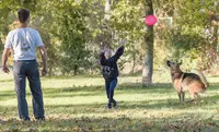Maître en Confiance