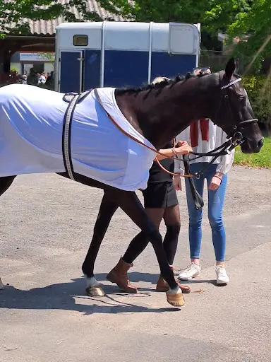 Soc des Courses de Chevaux