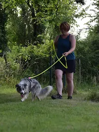 By The Dog
