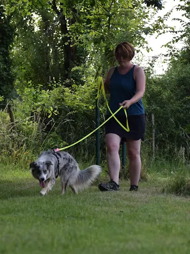 By The Dog