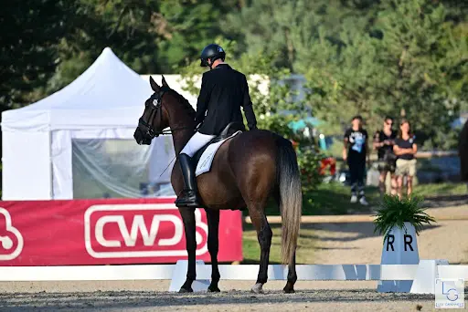 Conservatoire Français du Cheval Lipizzan
