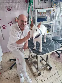 Art Canin