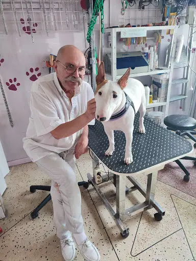 Art Canin