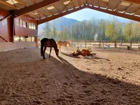 Centre Equestre Richard S.