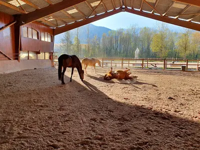 Centre Equestre Richard S.