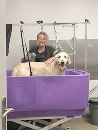 Bon Chien Bon Genre Toilettage