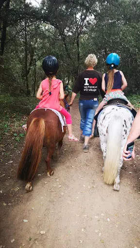 Les Poneys d'Ô Village
