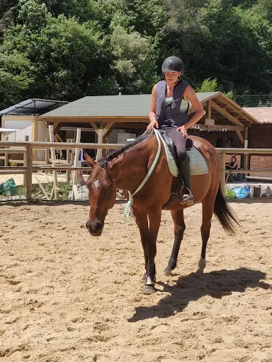 Pony S Team