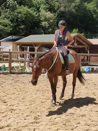 Pony S Team