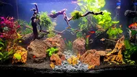 Aquacare