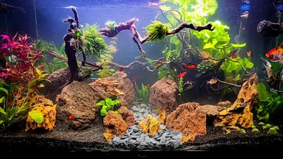 Aquacare