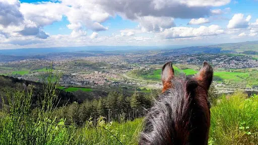 Le P Ti Ranch