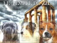 Elevage du Temple de Zeus