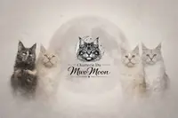 Chatterie du Mwomoon